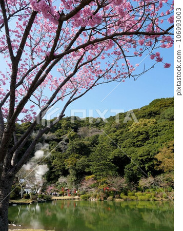 Beppu City, Oita Prefecture, Umi Jigoku, large pond Beppu City, Oita Prefecture, Umi Jigoku, large pond 106993003