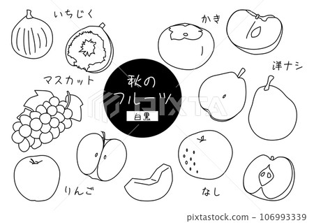 秋季水果黑白插畫 秋季水果黑白插畫 106993339