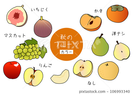 Autumn fruits fruit color illustration Autumn fruits fruit color illustration 106993340