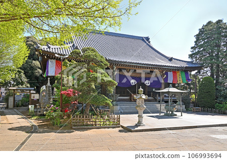 Kawaguchi walk: Jizo-in Shingon sect Chizan school main hall Sakuramachi, Kawaguchi city 106993694