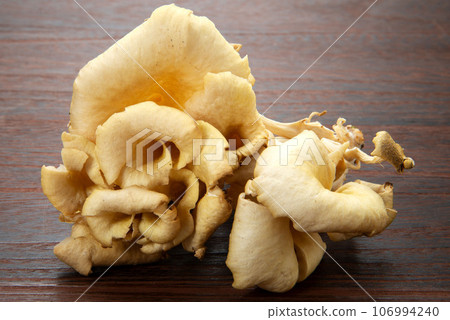 菇 菇 106994240