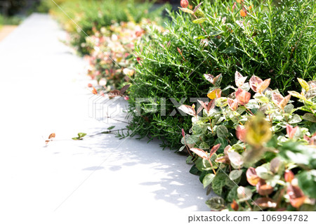 Refreshing green background with text space Refreshing green background with text space 106994782