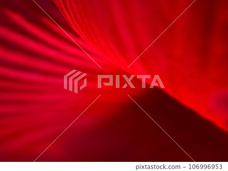 Glossy texture image texture of noble deep red hibiscus petals (macro lens, strobe + natural light) 106996953
