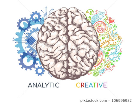 Left and right human brain functions Left and right human brain functions 106996982