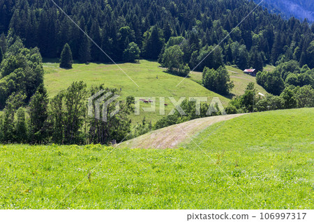 View on the Alps, Switzerland 106997317