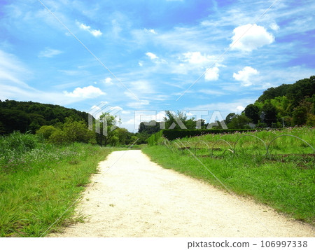 Satoyama landscape with summer path Satoyama landscape with summer path 106997338