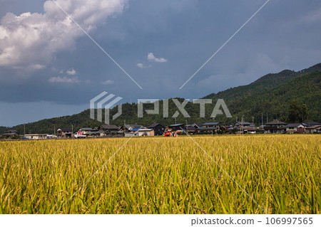 Rural scene with blue sky in fine autumn 106997565