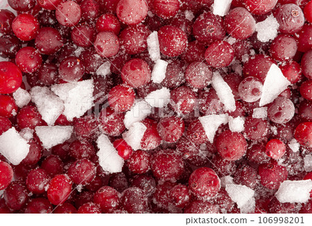 Frozen Lingonberry, Iced Cowberry, Snow Cranberry, Red Viburnum Berries, Frozen Lingonberry 106998201