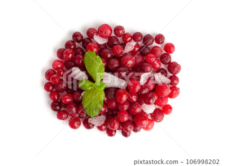 Frozen Lingonberry, Iced Cowberry, Snow Cranberry, Red Viburnum Berries, Frozen Lingonberry 106998202