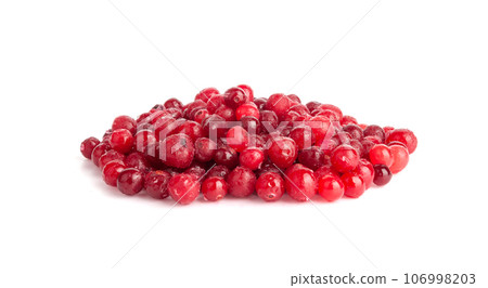 Frozen Lingonberry, Iced Cowberry, Snow Cranberry, Red Viburnum Berries, Frozen Lingonberry 106998203