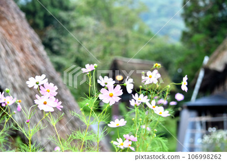 有宇宙的風景 106998262