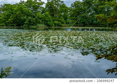 Onuma Quasi-National Park 106999247