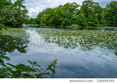 Onuma Quasi-National Park 106999248