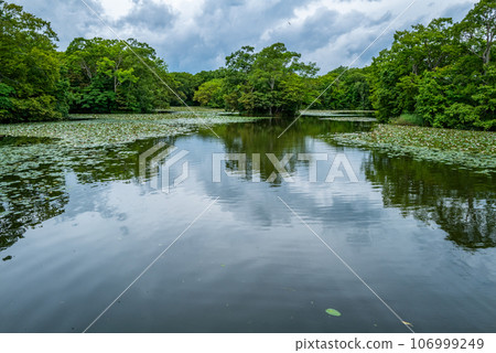 Onuma Quasi-National Park 106999249