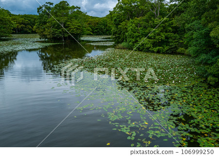 Onuma Quasi-National Park Onuma Quasi-National Park 106999250