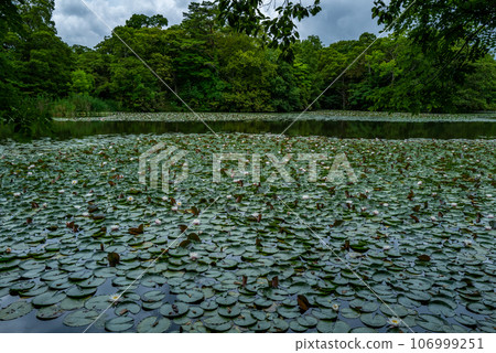 Onuma Quasi-National Park Onuma Quasi-National Park 106999251
