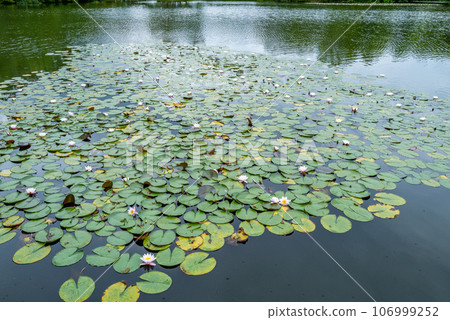 大沼國立公園 106999252