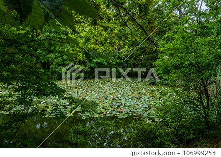 Onuma Quasi-National Park 106999253