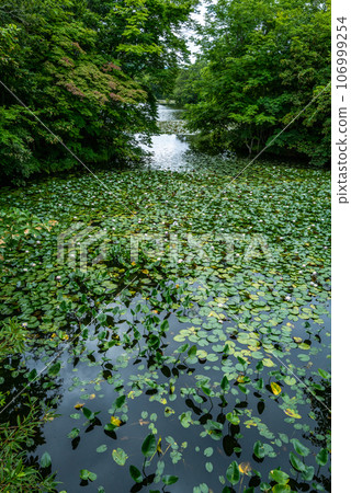 Onuma Quasi-National Park Onuma Quasi-National Park 106999254