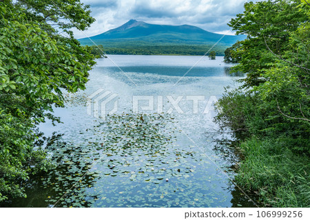 Onuma Quasi-National Park 106999256