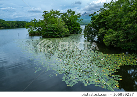 Onuma Quasi-National Park Onuma Quasi-National Park 106999257