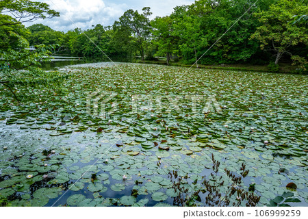 Onuma Quasi-National Park 106999259