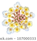 Flowers of the four seasons_photo cutout material (PNG-transparent background/JPG-white background) 107000333