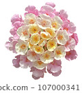 Flowers of the four seasons_photo cutout material (PNG-transparent background/JPG-white background) 107000341