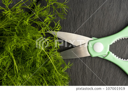 kitchen scissors cutting dill in the kitchen on a cutting board kitchen scissors cutting dill in the kitchen on a cutting board 107001919