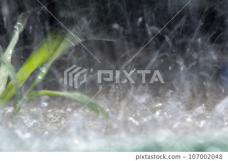 Rainy season - image of heavy rain 107002048