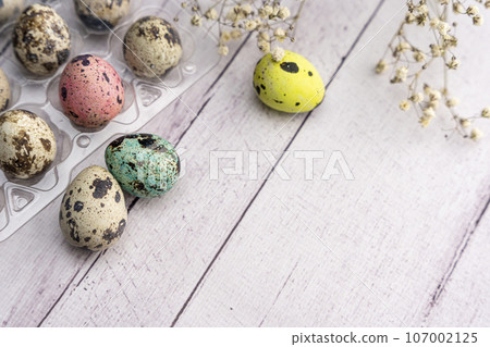 easter eggs and a branch of gypsophila on a light background 107002125
