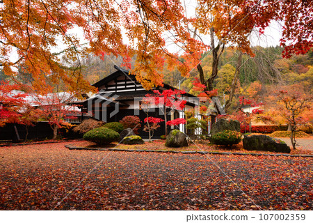 Autumn leaves garden at Kakunodate samurai residence Autumn leaves garden at Kakunodate samurai residence 107002359