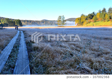 Oze Oe Wetland with its first frost 107002368