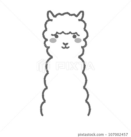 蓬鬆的羊駝（正面）黑白插圖 107002457