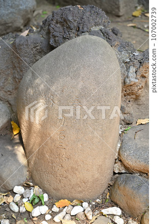 Kawaguchi Walk: Hatogaya Hikawa Shrine Chikaraishi Hatogaya Honmachi, Kawaguchi City Kawaguchi Walk: Hatogaya Hikawa Shrine Chikaraishi Hatogaya Honmachi, Kawaguchi City 107002739