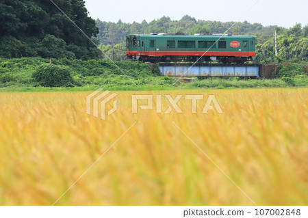 Moka Railway “Local line running through the autumn countryside” 107002848