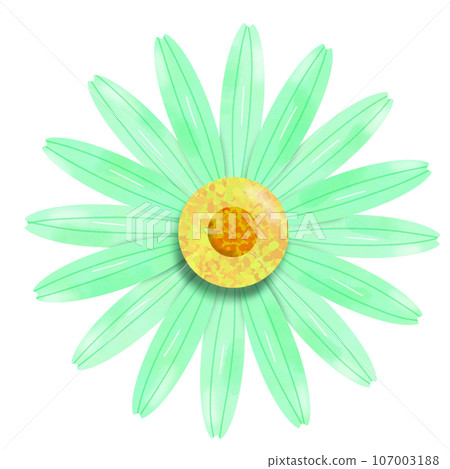 flower isolated on white background flower isolated on white background 107003188