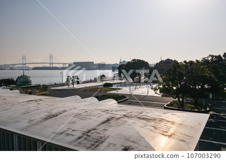 Scenery of Yamashita Park in the morning in Yokohama. Lawn covered with non-woven sheets. Scenery of Yamashita Park in the morning in Yokohama. Lawn covered with non-woven sheets. 107003290
