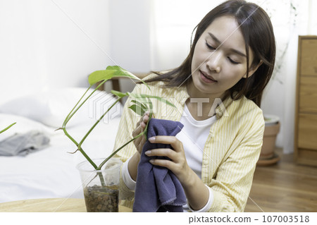 Young asian female wiping dust on leaf with potted plants made from recycled plastic bottles. 107003518