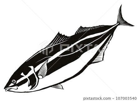 黃尾魚黑白插圖 107003540