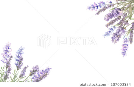 Template with watercolor lavender. Birthday or Wedding cards. Vector design element, wreaths of lavender. 107003584