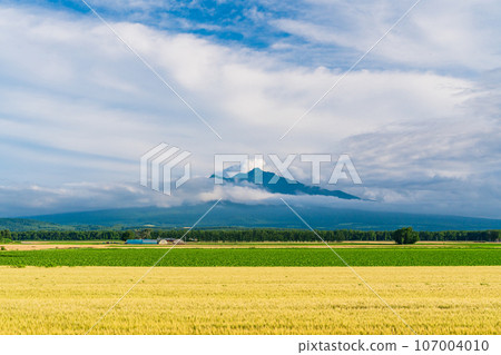 (Shari Town, Hokkaido) Mt. Shari across the vast wheat field 107004010