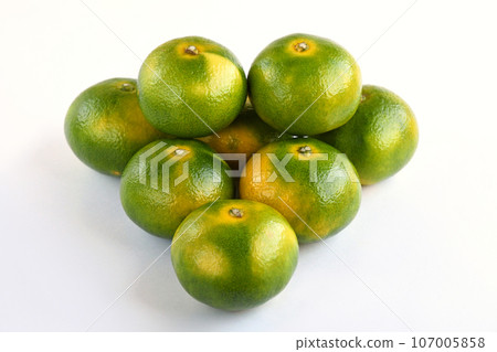 Mandarin orange (Ninan No. 1) Mandarin orange (Ninan No. 1) 107005858