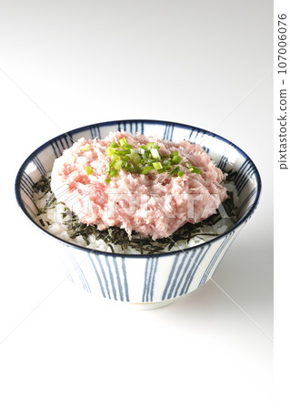 白色背景上切碎的海藻和蔥托羅的單張照片 107006076