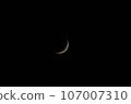 Crescent Moon  107007310
