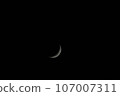 Crescent moon monochrome 107007311