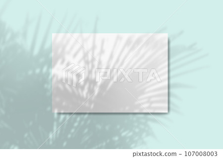 Natural light casts shadows from the foliage of a tropical tree on a rectangular sheet of white textured A4 paper lying on a blue textured background. Mockup 107008003