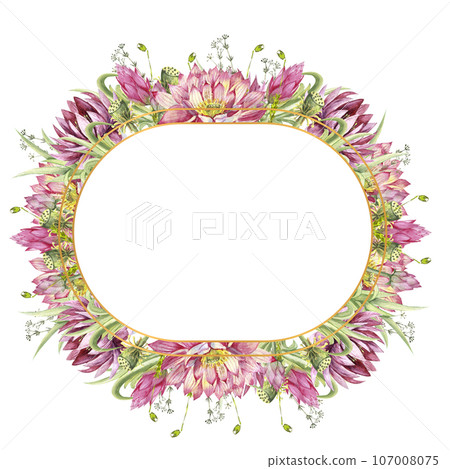 A oval frame with flowers of water lilies and wild forest grasses. Watercolor illustration on a white background A oval frame with flowers of water lilies and wild forest grasses. Watercolor illustration on a white background 107008075