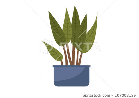House and home plant. Vector illustration. The health interior potted plant is crucial for maintaining appeal your trendy home decor with plants Room decoration gardening offers countless Room House and home plant. Vector illustration. The health interior potted plant is crucial for maintaining appeal your trendy home decor with plants Room decoration gardening offers countless Room 107008159