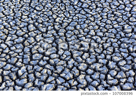 Broken dry soil in a Pampas lagoon, La Pampa province, Patagonia, Argentina. Broken dry soil in a Pampas lagoon, La Pampa province, Patagonia, Argentina. 107008396